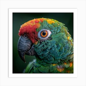 Colorful Parrot 24 Art Print