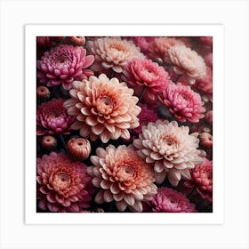 Chrysanthemums flowers Art Print