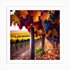 Vineyard In Autumn Art Print