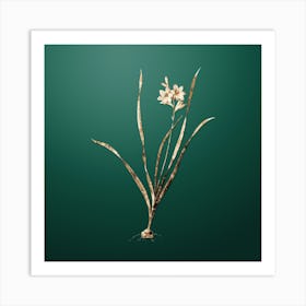 Gold Botanical Gladiolus Lineatus on Dark Spring Green n.4543 Art Print