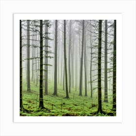 Foggy Forest Art Print