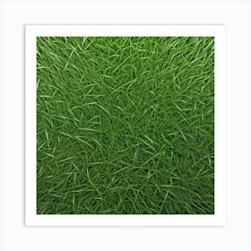 Green Grass Background 2 Art Print