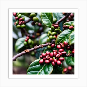 Coffee Beans On A Tree 55 Art Print