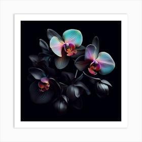 Black Orchids 1 Art Print