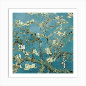 Blossoming Almond Tree 4 Art Print