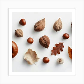 Autumn Nut and Leaves And Nuts Art Print