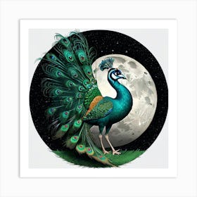 Peacock Art Print