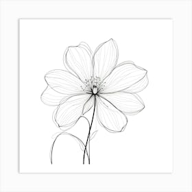 Flower Drawing 1 Art Print