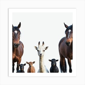 Family Of Horses Art Print