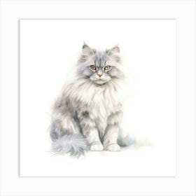 Australian Mist Longhair Cat Portrait 3 Art Print