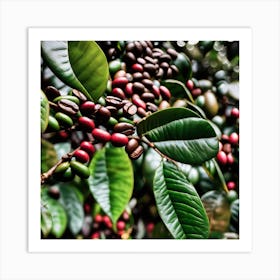 Coffee Beans On A Tree 58 Art Print