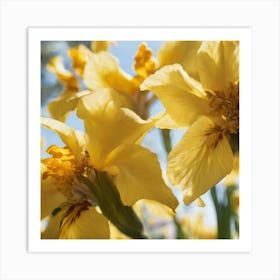 Yellow Irises Art Print