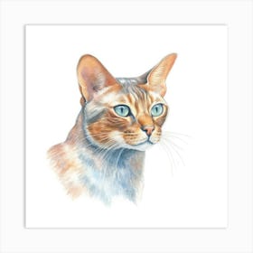 Malayan Cat Portrait 2 Art Print