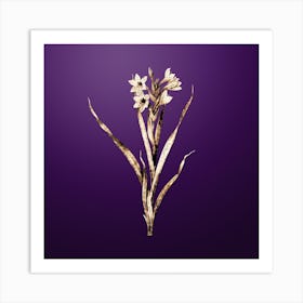 Gold Botanical Sword Lily on Royal Purple n.0242 Art Print