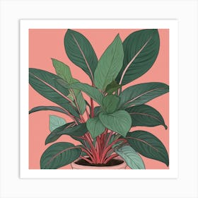 Pink And Red Plant Illustration Chinese Evergreen Art print 1 Art Print