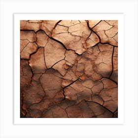 Cracked Earth 2 Art Print