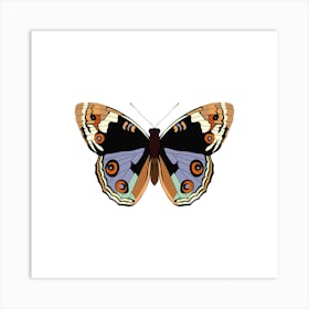 American Lady Butterfly Square Art Print