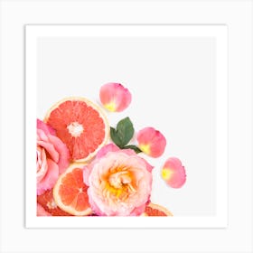 Roses And Grapefruits Art Print