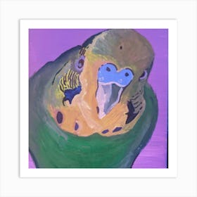 Joey the budgie  Art Print