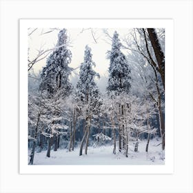 Snowy Forest 8 Art Print