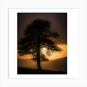 Lone Tree At Sunset Art Print