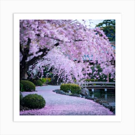 Cherry Blossoms In Kyoto Art Print