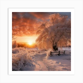 Sunrise In Winter Art Print