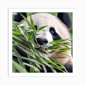 Panda Bear 2 Art Print