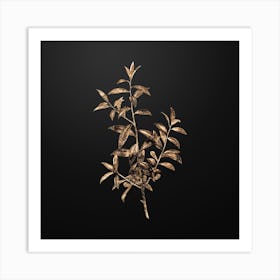Gold Botanical Alabama Dahoon Branch on Wrought Iron Black n.4238 Art Print