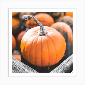 Pumpkins In A Crate Art Print