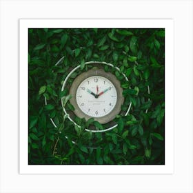 Time In Nature Art Print