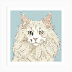 Coon Cat Art Print