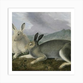 Rabbits 1 4 Art Print