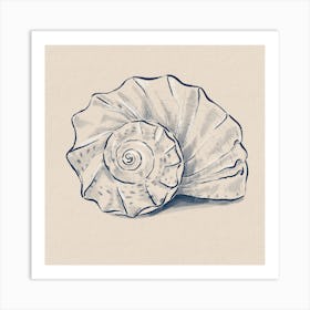 Sea Shell Spiral  Art Print