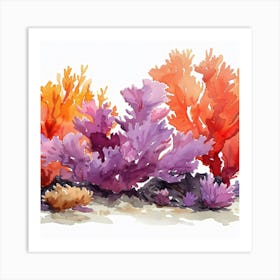 Editorial Art White Background Acropora 2 Art Print