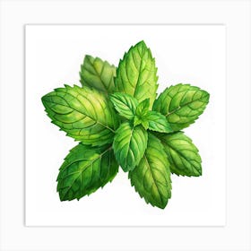 Watercolor Mint Leaves Art Print