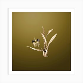 Gold Botanical Clamshell Orchid on Dune Yellow n.1786 Art Print
