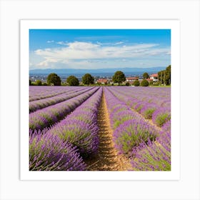 Lavender Field 1 Art Print