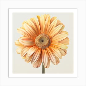 Gerbera Daisy Art Print