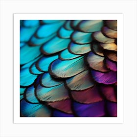 Colorful Feathers Art Print