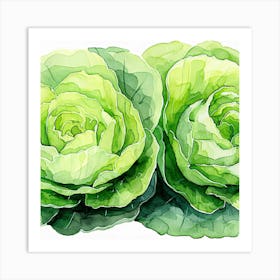 Cabbage Watercolor Painting Art Print