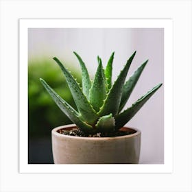 cute mini Aloe plant in a pot Art Print