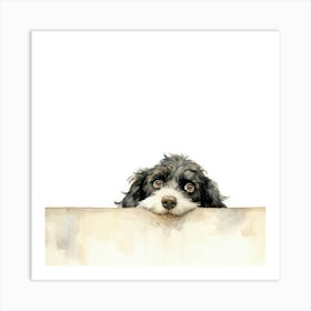 Poodle Peeking Over The Wall Art Print