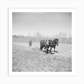 Working In The Field Of A Cut Over Farm Near Mansfield, Michigan By Russell Lee Art Print