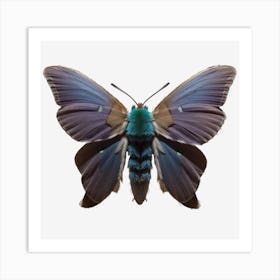 Butterfly Blue Moth 2 Art Print