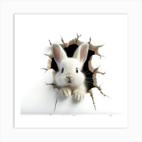 Rabbit Peeking Through A Hole 9 Art Print