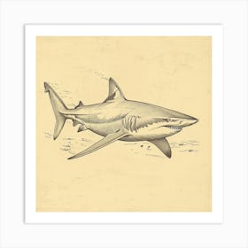 Bamboo Shark Vintage Illustration 3 Art Print