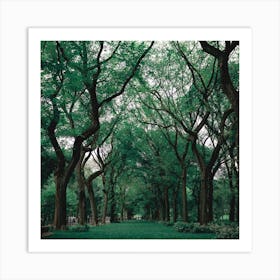 Central Park Art Print