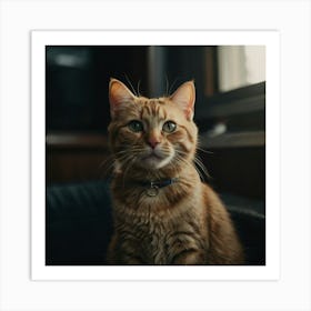 Default Cat Freddie Art 2 Art Print