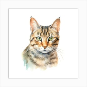 Pixie Bob Cat Portrait Art Print